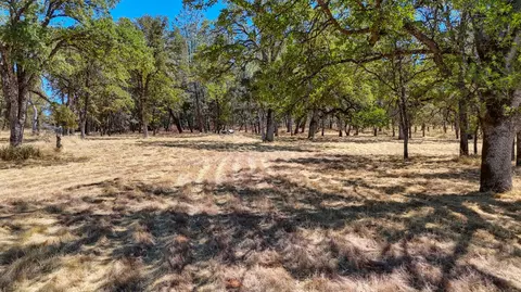 6646 Sourdough Trl, Placerville, CA 95667 photo 20