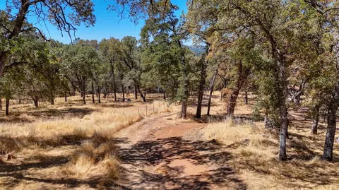 6646 Sourdough Trl, Placerville, CA 95667 photo 15
