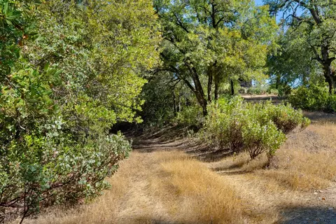 15178 Sutter Highlands Dr, Sutter Creek, CA 95685 photo 7