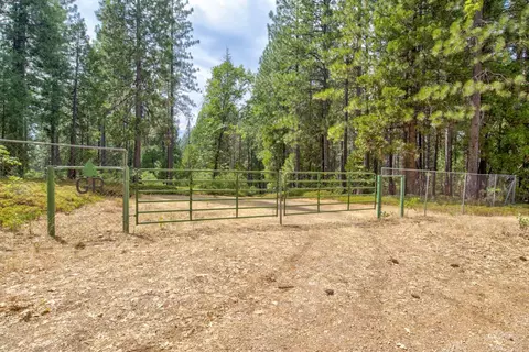 0 Mtn Dew Ln, Somerset, CA 95684