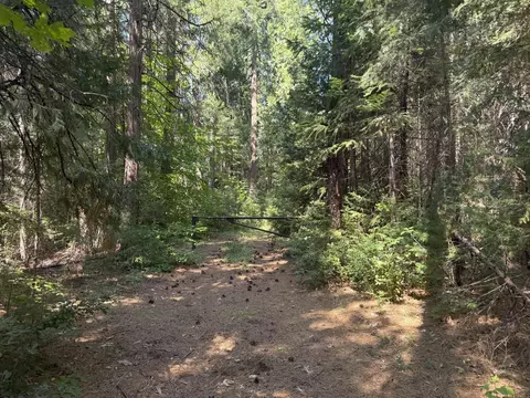 11725 Phelps Hill Rd, Nevada City, CA 95959