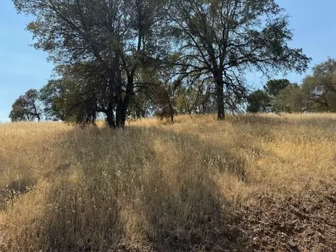 1976 Inyo Ct, Copperopolis, CA 95228 photo 10