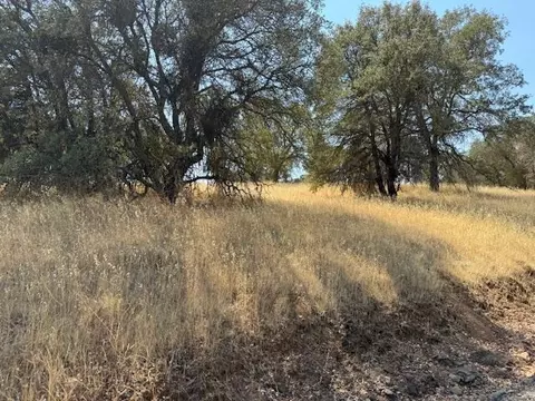 1976 Inyo Ct, Copperopolis, CA 95228 photo 11