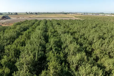4319 S Walnut Rd, Turlock, CA 95380 photo 6