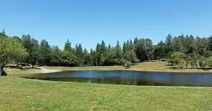 View/Area - 3814 Stope Dr, Placerville, CA 95667 photo 13 of 13