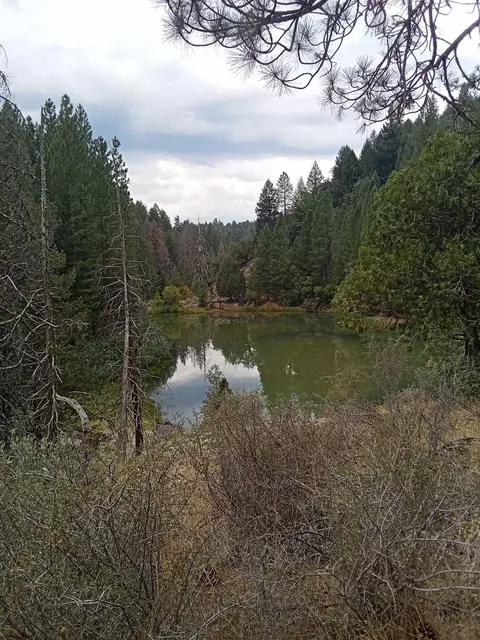 0 Sugar Pne, Foresthill, CA 95631