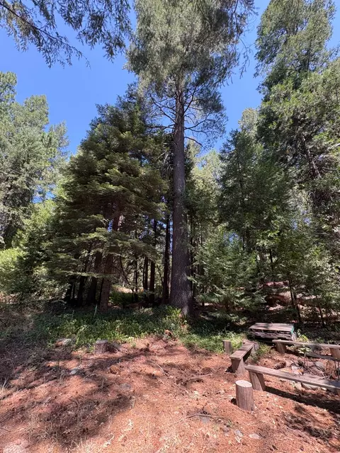 760 Alta Reservoir Rd, Alta, CA 95701 photo 5