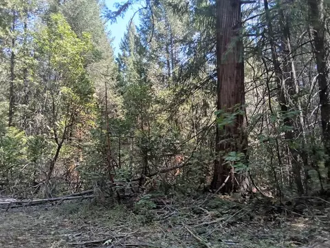 0 1 Just Rd, Iowa Hill, CA 95713