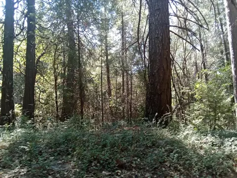 0 2 Just Rd, Iowa Hill, CA 95713