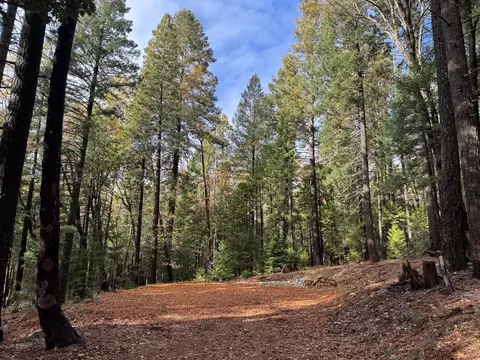 13646 Quaker Hill Cross Rd, Nevada City, CA 95959