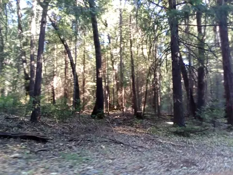 0 3 Just Rd, Iowa Hill, CA 95713