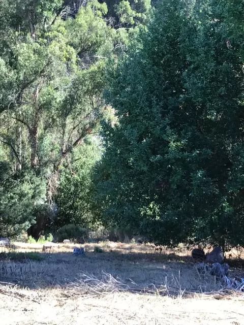 0 Lauriston Ct, Oakland, CA 94611