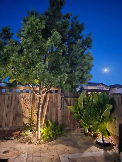 Exterior - 3628 Landmark Cir, Modesto, CA 95356 photo 8 of 8