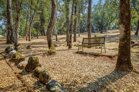 9508 Sheep Ranch Rd, Mountain Ranch, CA 95246 photo 62