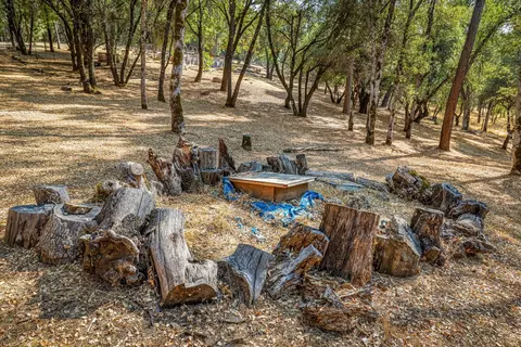 9508 Sheep Ranch Rd, Mountain Ranch, CA 95246 photo 50
