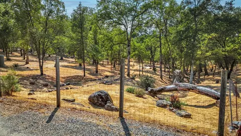 9508 Sheep Ranch Rd, Mountain Ranch, CA 95246 photo 75