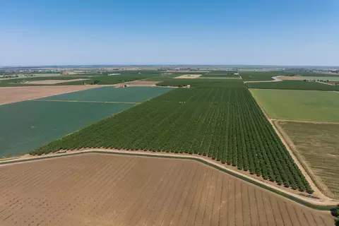 100 Draper Rd, Newman, CA 95360 photo 18