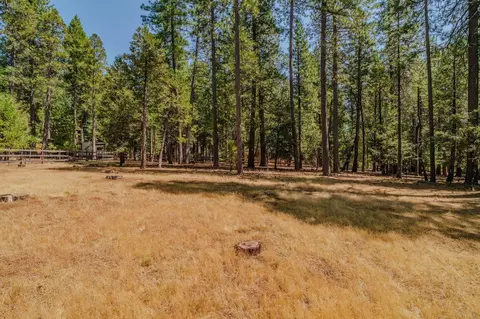 Exterior - 20110 Prairie Dr, Volcano, CA 95689 photo 9 of 14