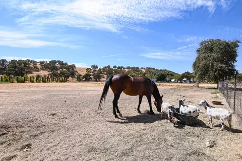 Other - 25107 Main St, Capay, CA 95607 photo 16 of 20