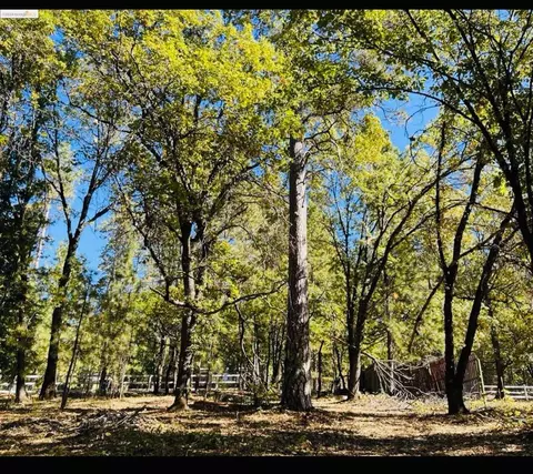 14562 Flicker Dr, Grass Valley, CA 95949 photo 1