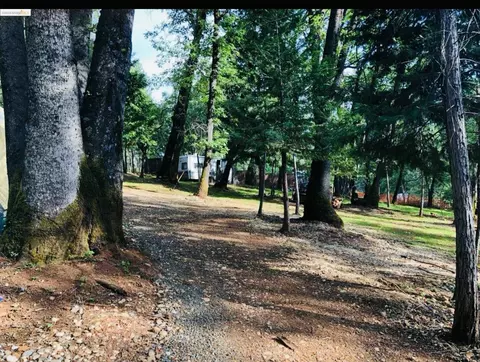 14562 Flicker Dr, Grass Valley, CA 95949 photo 8