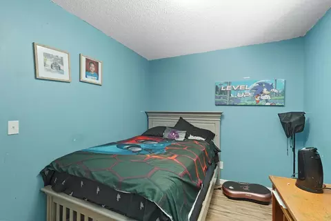 Bedroom - 334 Osage Pl, Lathrop, CA 95330 photo 3 of 6
