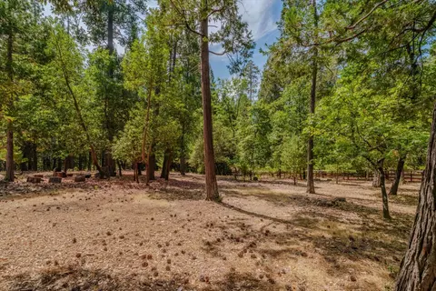Exterior - 12865 Eldel Rd, Pine Grove, CA 95665 photo 12 of 24