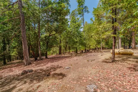 Exterior - 12865 Eldel Rd, Pine Grove, CA 95665 photo 16 of 24