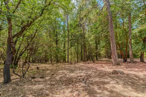 Exterior - 12865 Eldel Rd, Pine Grove, CA 95665 photo 17 of 24