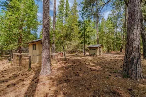 Exterior - 12865 Eldel Rd, Pine Grove, CA 95665 photo 10 of 24