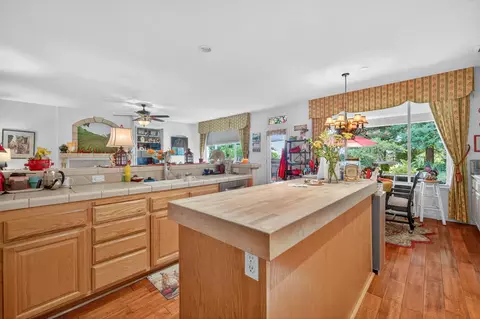 4209 Silver Spur Ct, Rocklin, CA 95765 photo 26
