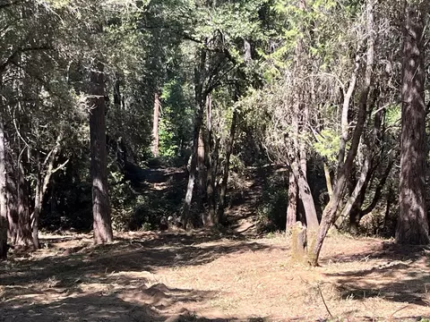7152 Fire Pine Ln, Somerset, CA 95684 photo 4