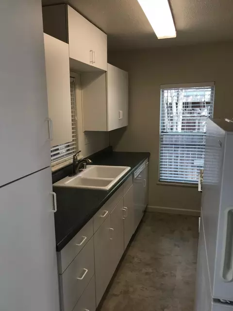 242 W Lowell Ave, Tracy, CA 95376 photo 23