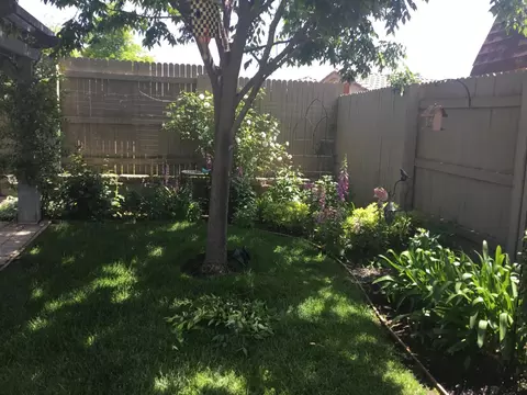 Exterior - 431 Eagle Dr, Ione, CA 95640 photo 5 of 8