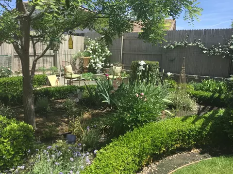 Exterior - 431 Eagle Dr, Ione, CA 95640 photo 4 of 8