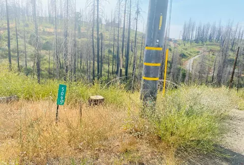 5095 Evergreen Dr, Grizzly Flats, CA 95636