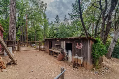 Exterior - 13825 Pine Vw, Pine Grove, CA 95665 photo 21 of 33
