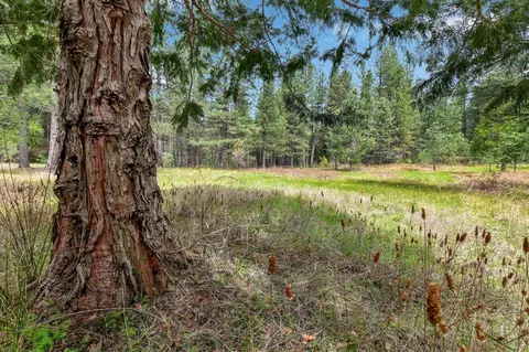 13824 Baker Rd, Camptonville, CA 95922