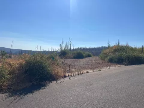 5190 Evergreen Dr, Grizzly Flats, CA 95636