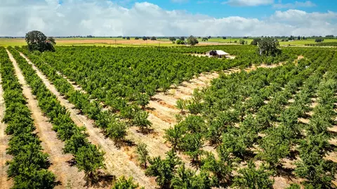 15600 Clements Rd, Lodi, CA 95240 photo 15