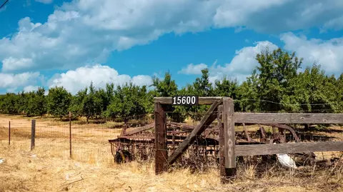 15600 Clements Rd, Lodi, CA 95240 photo 3