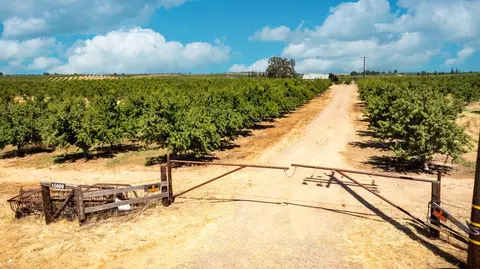 15600 Clements Rd, Lodi, CA 95240 photo 4