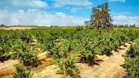 15600 Clements Rd, Lodi, CA 95240 photo 17