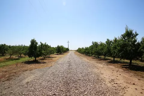 15600 Clements Rd, Lodi, CA 95240 photo 35