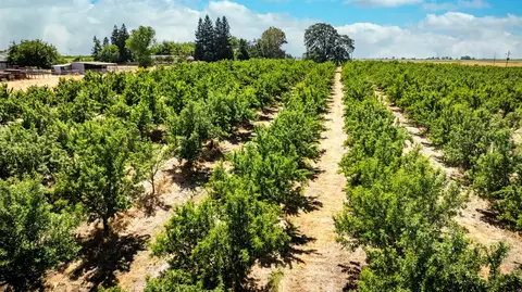 15600 Clements Rd, Lodi, CA 95240 photo 14
