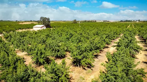 15600 Clements Rd, Lodi, CA 95240 photo 12