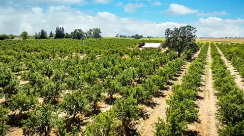 15600 Clements Rd, Lodi, CA 95240 photo 20