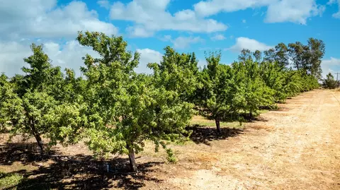 15600 Clements Rd, Lodi, CA 95240 photo 9