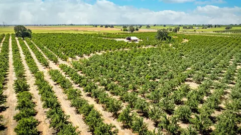 15600 Clements Rd, Lodi, CA 95240 photo 16