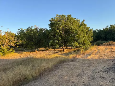 442 E Gridley Rd, Gridley, CA 95948 photo 6